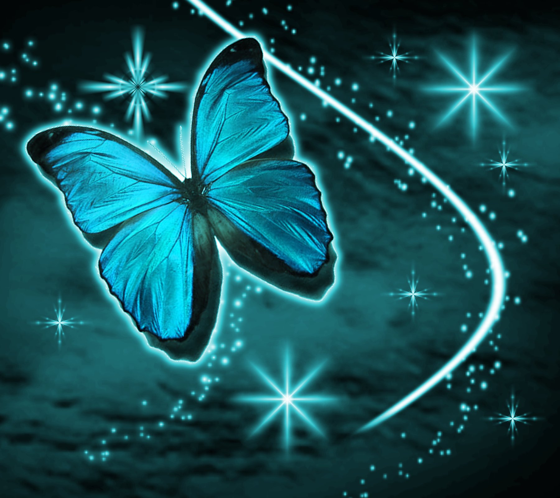 Aqua Butterfly With Stars Background 1800x1600 Background Image