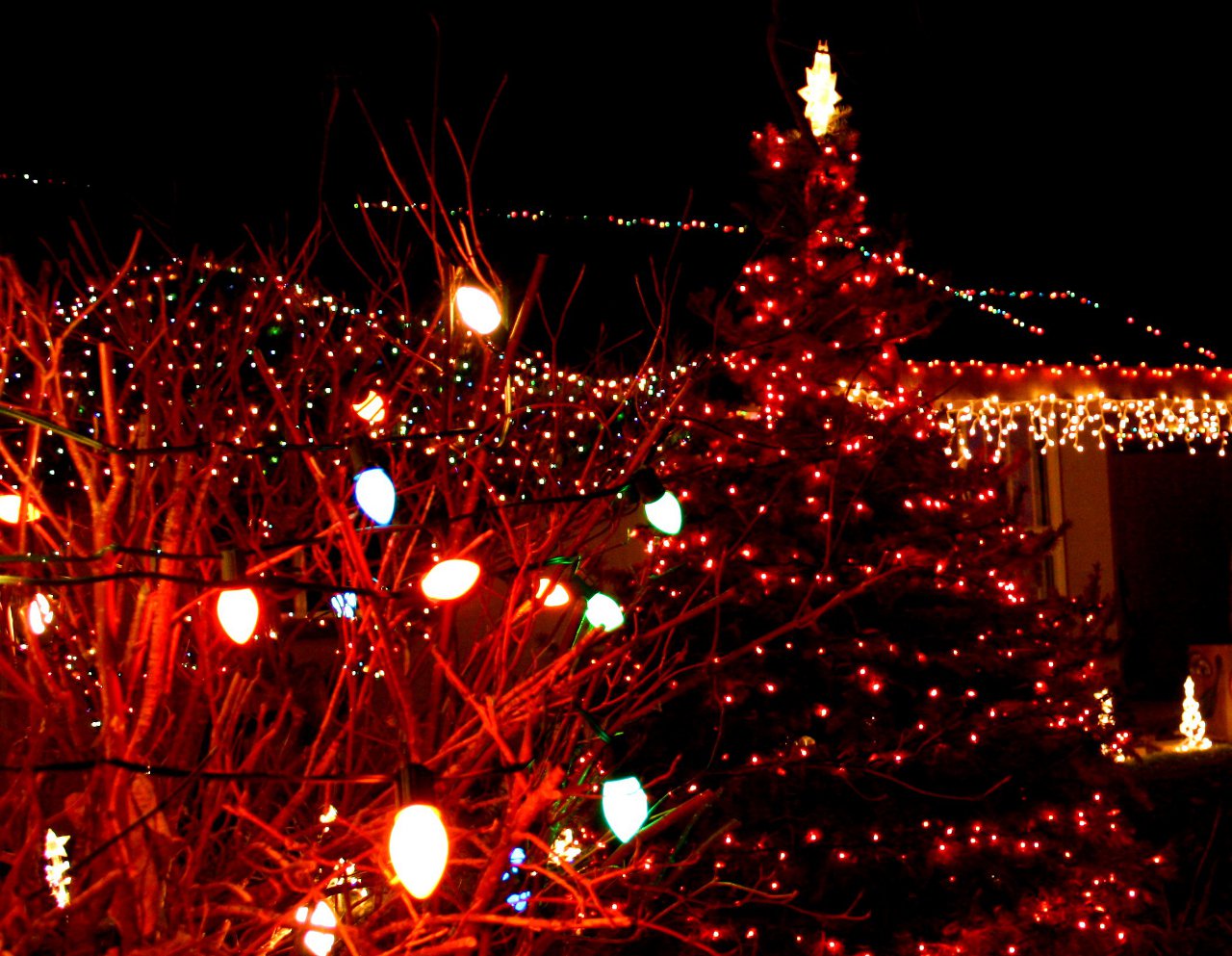 Christmas Lights With Tree Background Image, Wallpaper or Texture free for any web page, desktop
