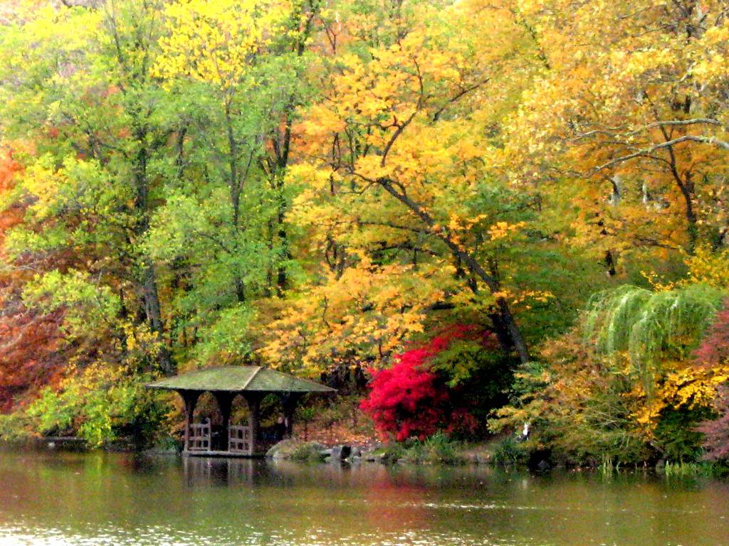 Fall Colors In Central Park Background Image, Wallpaper or 