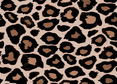 Leopard Print Background Image, Wallpaper or Texture free for any
