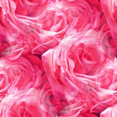 pink roses wallpaper. MySpace Pink Roses Background