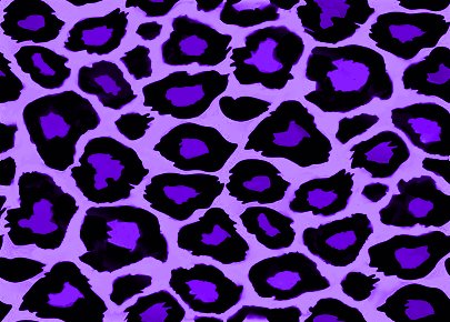 Purple Blue Leopard Print Background Image, Wallpaper or Texture free