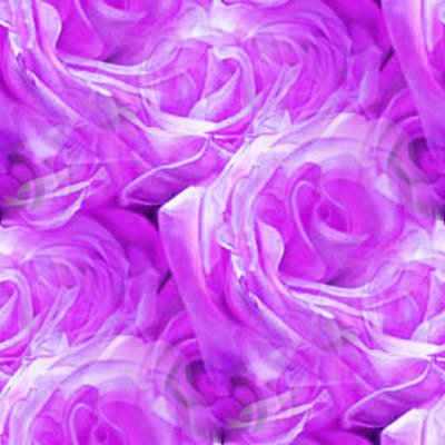 Purple Rose Background on Myspace Purple Roses Background   Twitter Backgrounds   Wallpaper