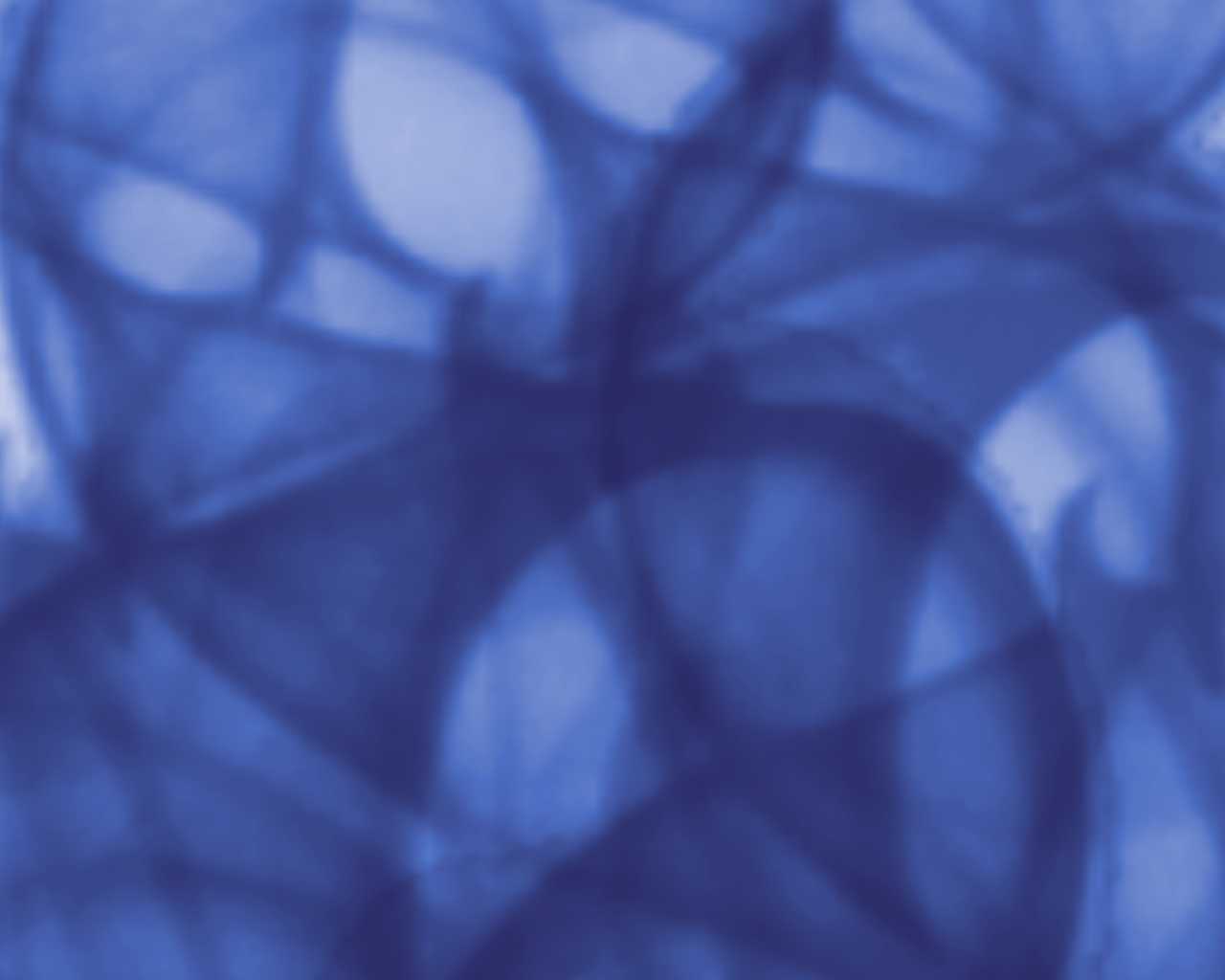 Colorful Circle Patterns on Blue Background Tie from Zazzle.com